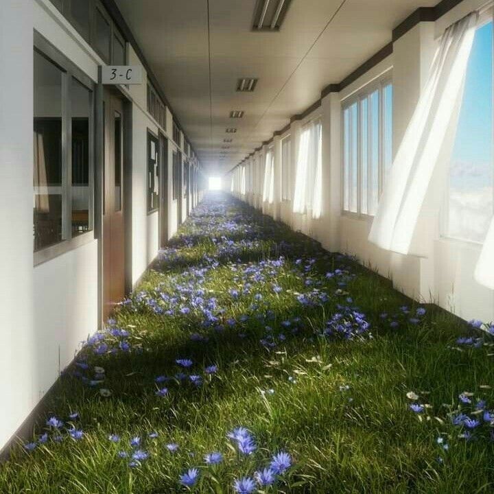 Corredor de escola com o chão com grama e flores